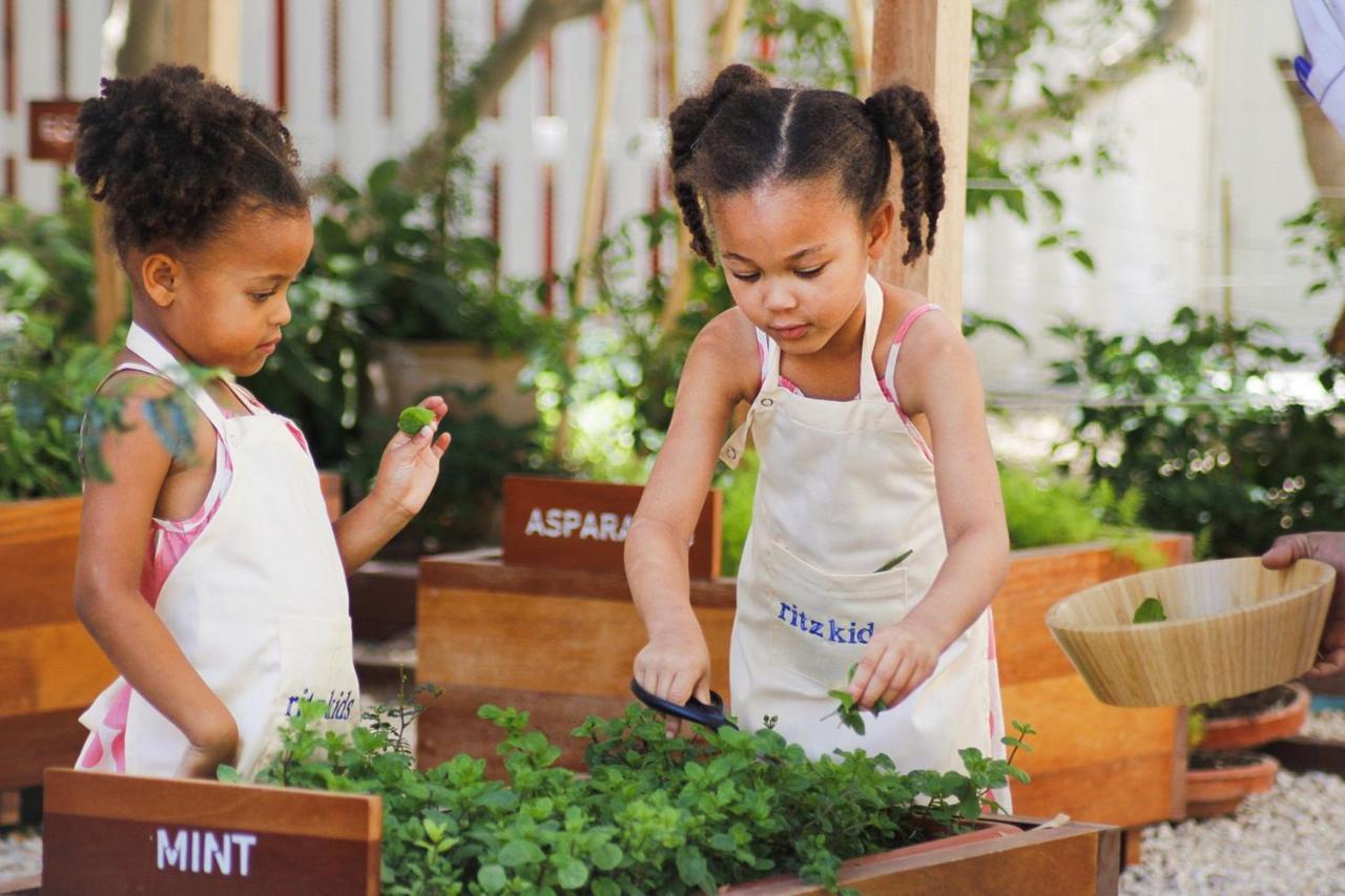 The Ritz-Carlton, Doha Hotel Екстериор снимка Children working in a garden