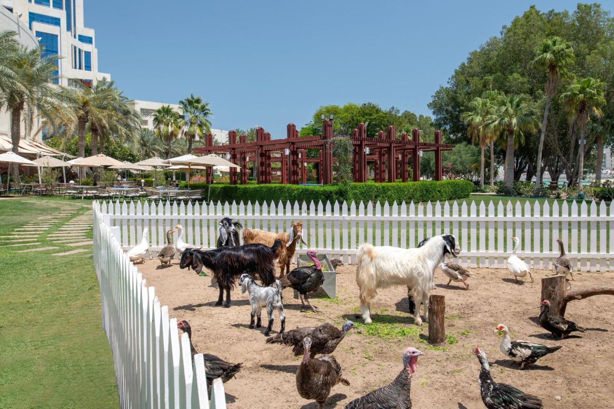 The Ritz-Carlton, Doha Hotel Екстериор снимка The farm at the resort